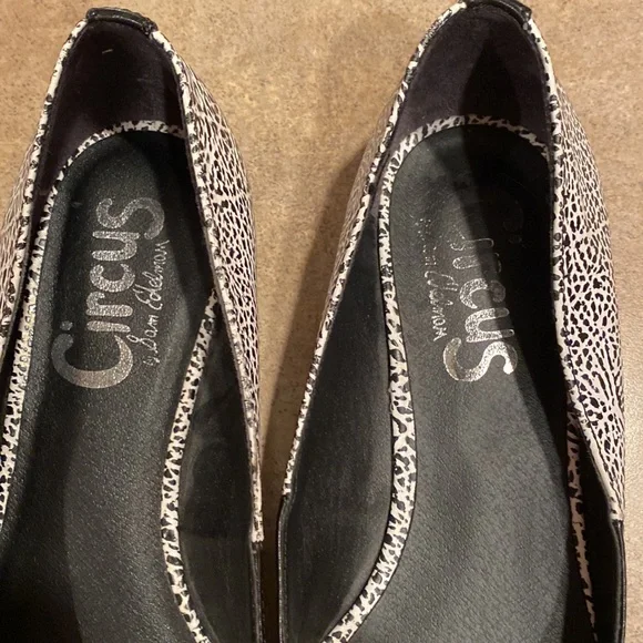 Womens Circus by Sam Edelman shoes size 7.5 - Picture 4 of 8